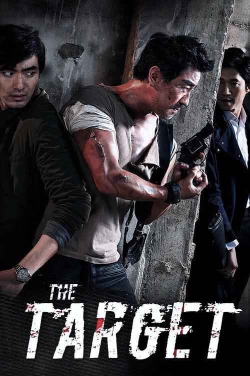 Poster The Target