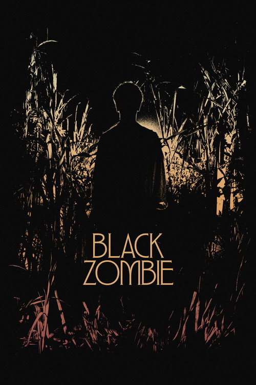 Poster Black Zombie